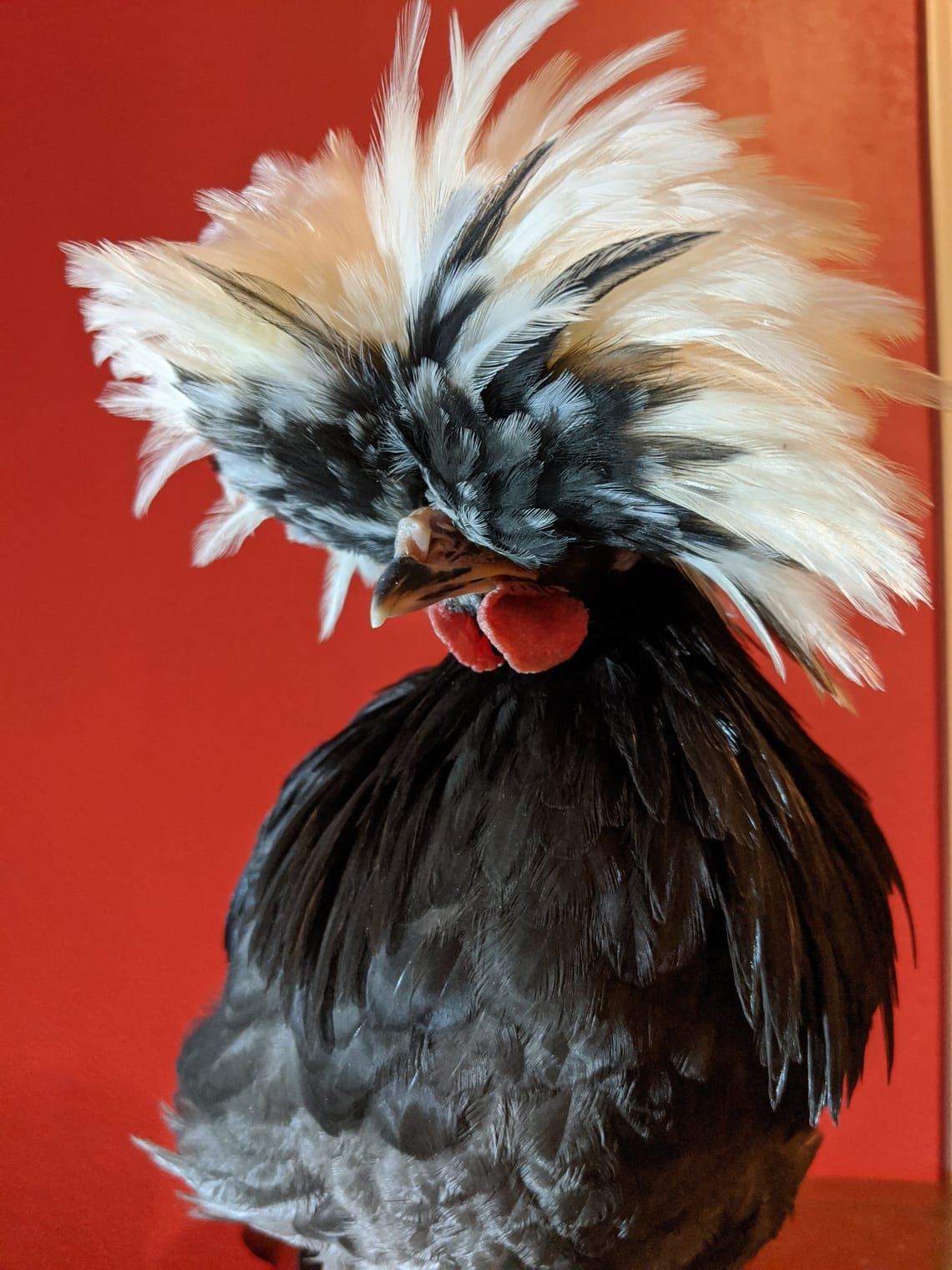 Einstein