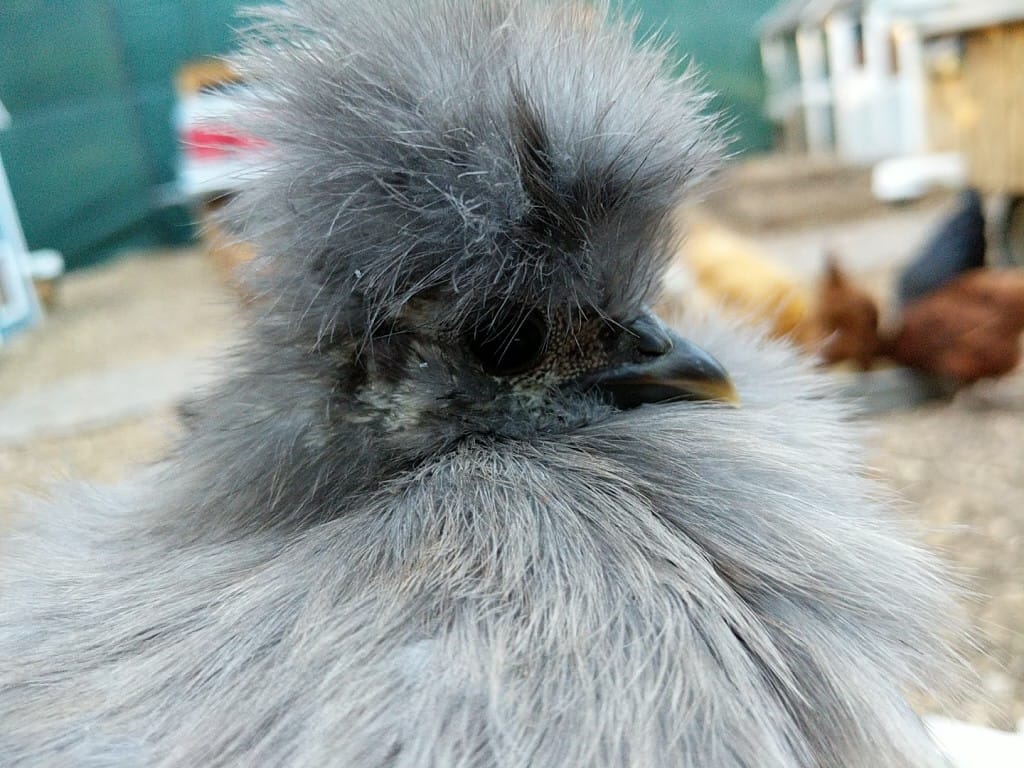 Babies Growing Up While New Ones Hatch