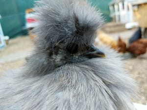Babies Growing Up While New Ones Hatch